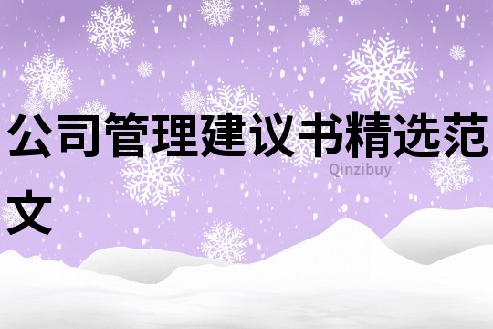 公司管理建議書精選范文