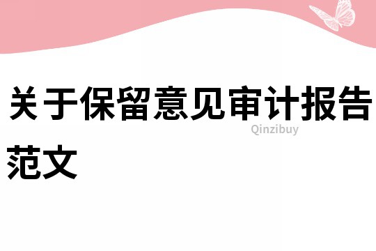 關于保留意見審計報告范文