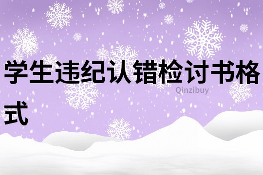 學生違紀認錯檢討書格式