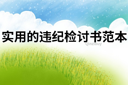 實(shí)用的違紀(jì)檢討書(shū)范本