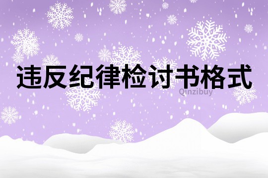 違反紀(jì)律檢討書(shū)格式