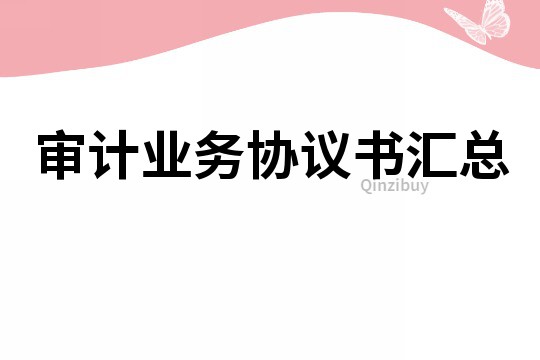 審計業務協議書匯總