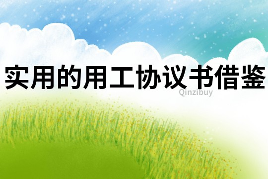 實用的用工協(xié)議書借鑒