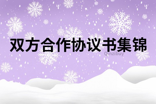 雙方合作協(xié)議書集錦