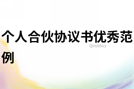 個人合伙協(xié)議書優(yōu)秀范例
