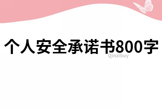 個人安全承諾書800字