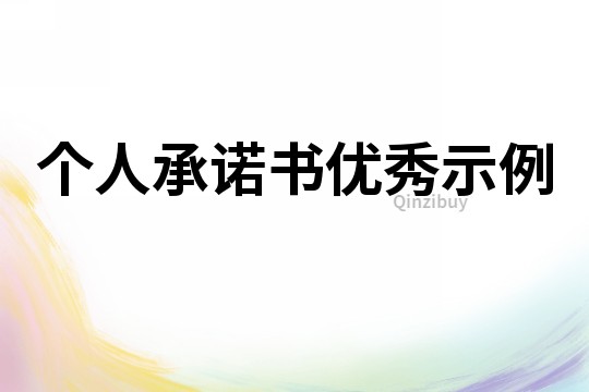 個人承諾書優秀示例
