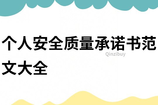個人安全質量承諾書范文大全