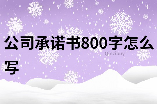 公司承諾書800字怎么寫