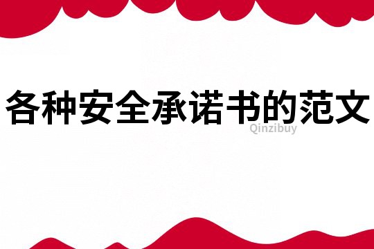 各種安全承諾書的范文