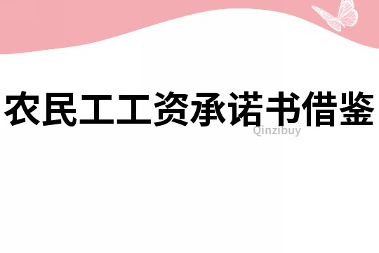 農(nóng)民工工資承諾書借鑒