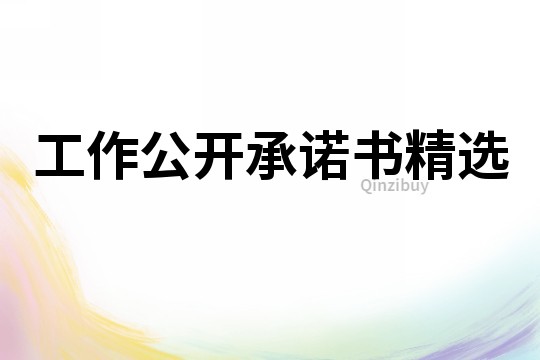 工作公開承諾書精選