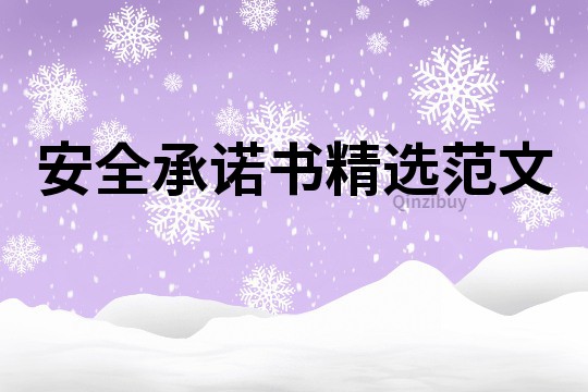 安全承諾書精選范文