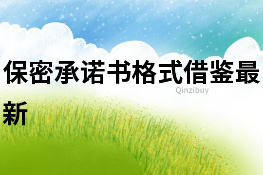 保密承諾書格式借鑒最新