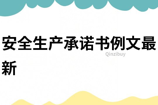 安全生產承諾書例文最新