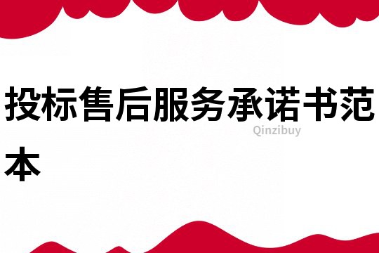 投標(biāo)售后服務(wù)承諾書范本