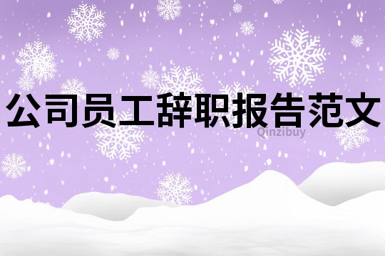 公司員工辭職報告范文