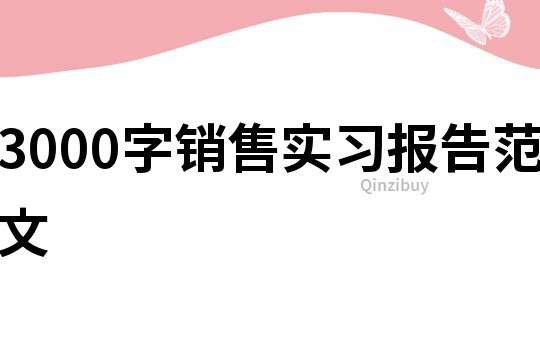 3000字銷售實(shí)習(xí)報(bào)告范文