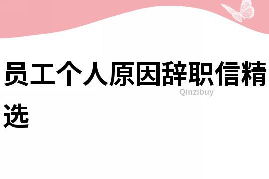 員工個人原因辭職信精選