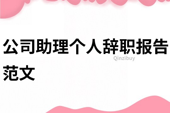 公司助理個人辭職報告范文