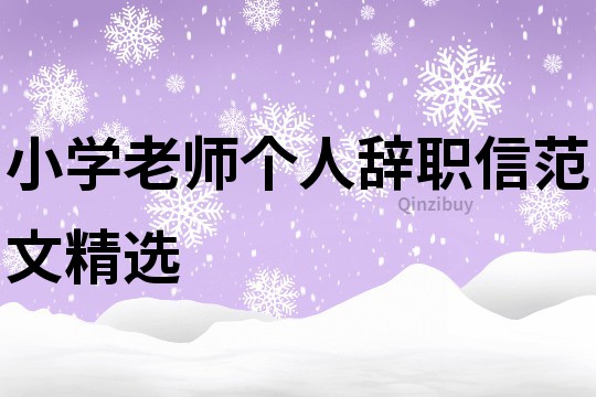 小學老師個人辭職信范文精選