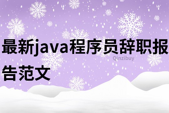 最新java程序員辭職報告范文