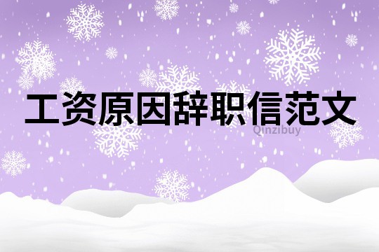 工資原因辭職信范文