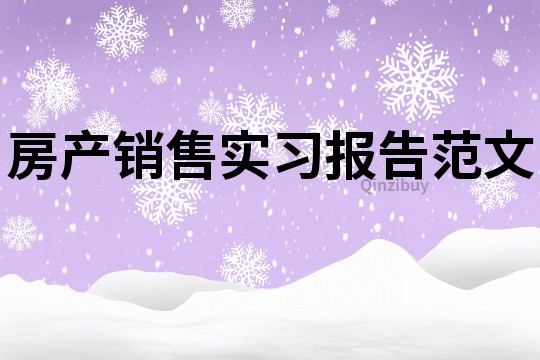 房產銷售實習報告范文