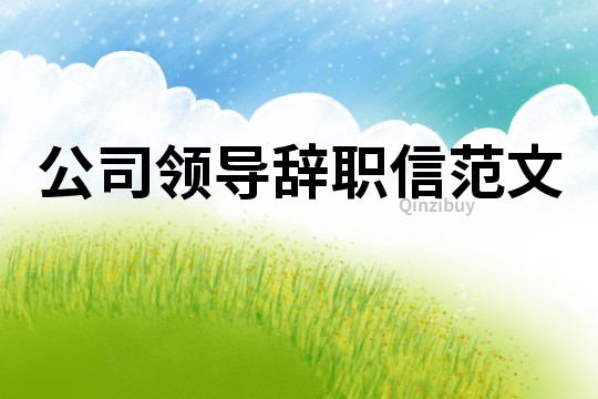 公司領導辭職信范文