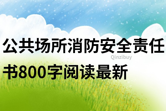 公共場(chǎng)所消防安全責(zé)任書(shū)800字閱讀最新