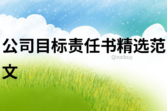 公司目標責任書精選范文