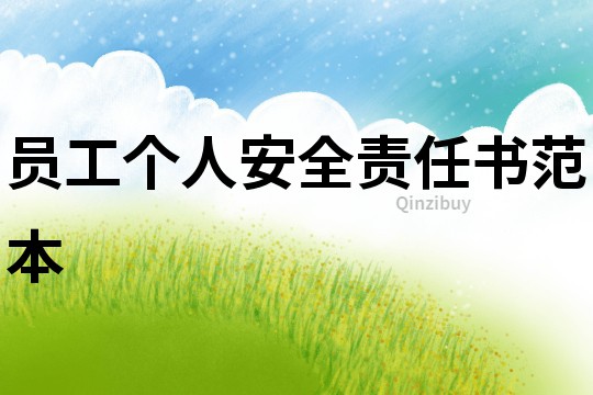 員工個人安全責任書范本