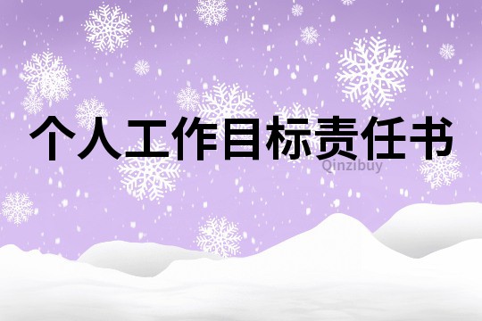 個人工作目標責任書