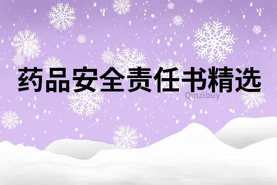 藥品安全責任書精選