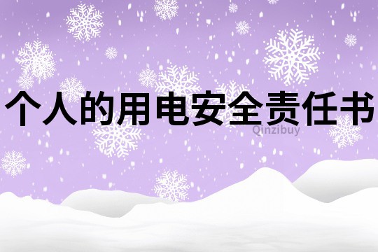 個人的用電安全責任書