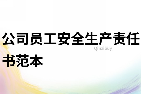 公司員工安全生產責任書范本