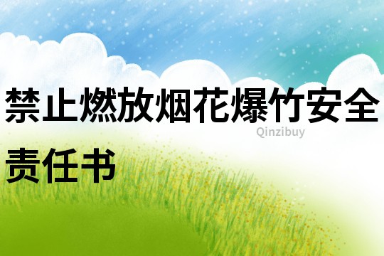 禁止燃放煙花爆竹安全責(zé)任書
