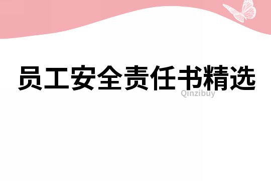 員工安全責任書精選