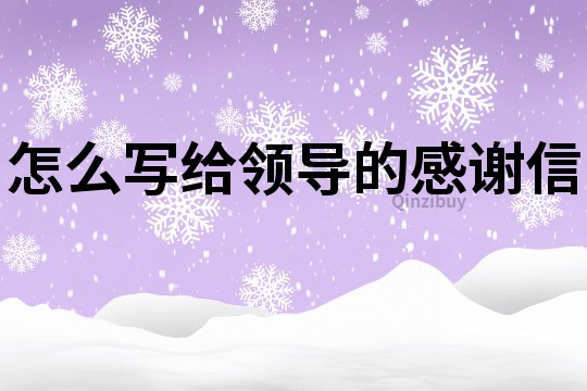 怎么寫給領導的感謝信