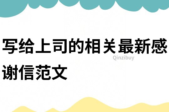 寫給上司的相關最新感謝信范文