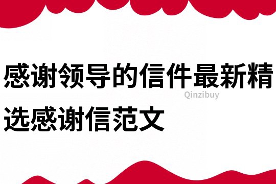 感謝領(lǐng)導(dǎo)的信件最新精選感謝信范文