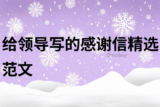 給領(lǐng)導(dǎo)寫的感謝信精選范文