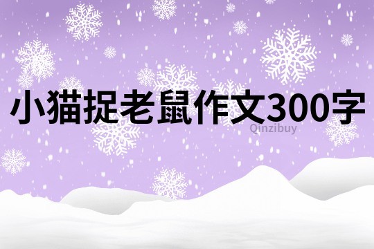 小貓捉老鼠作文300字