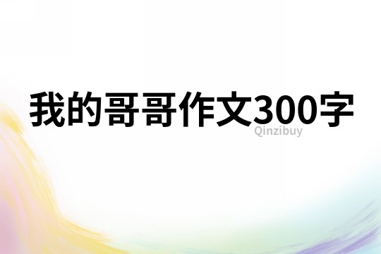 我的哥哥作文300字