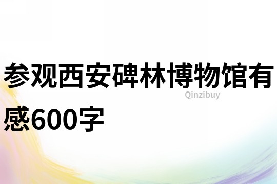 參觀西安碑林博物館有感600字