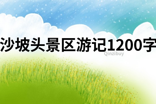 沙坡頭景區(qū)游記1200字