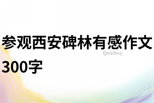 參觀西安碑林有感作文300字