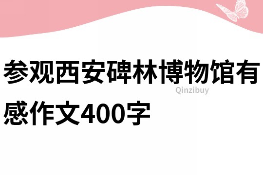 參觀西安碑林博物館有感作文400字