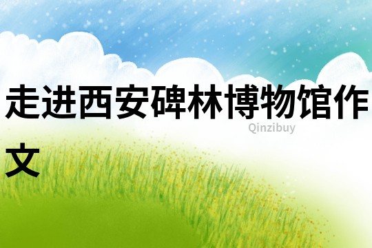 走進西安碑林博物館作文
