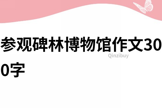參觀碑林博物館作文300字